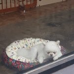 [댓글부탁해] 방금 길<b>가다</b> 심쿵햇어ㅜ