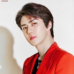 [EXO] 세훈이 얼빡샷 <b>보정</b>한 짤들 푼다 보고 가