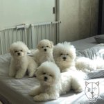 [드루와] <b>헬스</b> 다녀본애들아ㅠㅜㅜㅜ제발 알려줘