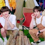 [댓글부탁해] <b>황금</b> 둘다 데뷔할거래