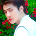 [세훈] 190718 <b>what</b> a life M/V 트레일러 움짤