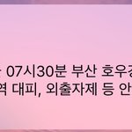 [댓글부탁해] 부산 <b>재난</b>문자왔음