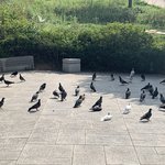 출근길 서울시 <b>은혜</b>로운풍경