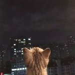 야 <b>닭발</b> 조아하는 애드라...