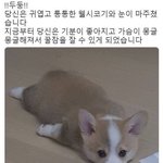 [댓글부탁해] 짝남한테 선톡할건데 <b>멘트</b>