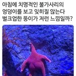 [ㅋㅋㅋㅋㅋ] 인싸아싸 찐따 이런 말 좀 없었으면 좋겠다 ㅋㅋㅋ