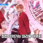 몽랑단 짱돌단 수고 많았어
