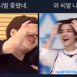 [프듀<b>X</b>] 현재 <b>엑스</b>원 상황