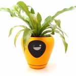 [댓글부탁해] <b>식물</b>의 상태를 알려주는 화분