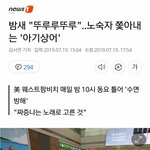 [댓글부탁해] 아기<b>상어</b> 노래 근황