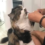 [방탈죄송] <b>외동</b>아들 괜찮을까요
