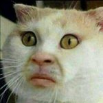 [드루와] 일본 불매운동 추반 좀 ㅠ