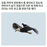 [댓글부탁해] 이 까마귀 <b>홍원</b>이보다 인성 빻은듯