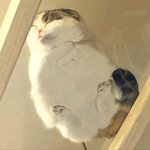 근데 프엑 데뷔한 애들 있잖아