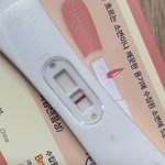 [19임신] 임테기 봐줘