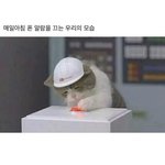 얘들아 해외여행 어디로 가봄??
