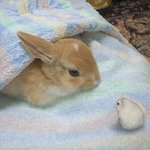 [프듀X] 엑스원 지금 다 까이는 중ㅋㅋㅋ 회전문임