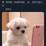 [프듀X] <b>강민희</b> 브이앱