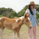 [EXO] 내가 늙저씨네 늙누나 실물 봤는데