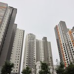 오빠 오빠와 나의 목표야