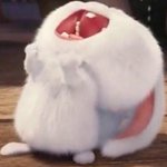 오늘부터 다이어트당~!!!~!~!~~