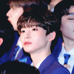 [프듀<b>X</b>] 구정모 이<b>정도</b>면 안준영 쳐도 합법아니냐