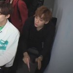 바이나인 데뷔말이야 홍이에서는 뭐래?