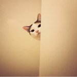 [프듀X] 야 근데 <b>JBJ</b>도