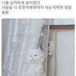 언어와 <b>매체</b> 있잖아