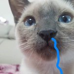 <b>타이</b>다이 티셔츠 만들고싶은데