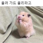 [19] 애들아 남자친구