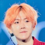 [EXO] 근데 백현이 요즘