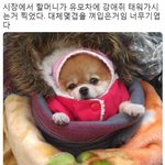거미랑 40분 동안 맞짱 떠서 이겼다