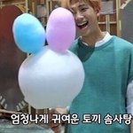 [방탄소년단] 준이가 좋아하던 토끼 <b>솜사탕</b>의 정체