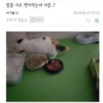 [댓글부탁해] 학교몰래<b>침입</b>해서술마시는거 괜찬?