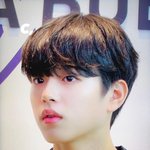[프듀X] 오늘 진우 보고가