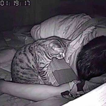 [댓글부탁해] '<b>수면</b> 무호흡' 때문에 카메라 설치했는데..