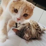 [댓글부탁해] <b>변명</b>거리좀 생각해조 제발ㅠㅠ