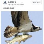 [댓글부탁해] 너네 방학<b>때</b> <b>공부</b> 얼마나 하냐?