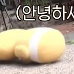 [드루와] 나 <b>멘탈</b> 쓰닌데