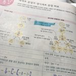 생1<b>염색체</b> 생긴거