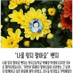 반대 다는 새기가 영자라는 게 학계의 <b>정설</b>