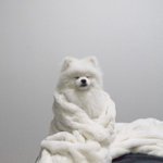 [19] <b>빛삭</b>