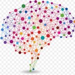 <b>이승헌</b> 브레인 멘토링