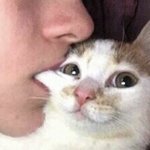 디네댓 <b>사본</b> 애들아!
