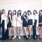 트둥이들 미야기 안가면 안되나
