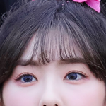 아이린 이거 <b>렌즈</b> 뭐인지 아는사람