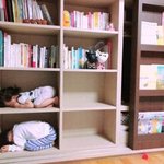 [ㅈㄱㄴ] 남매의 숨바꼭질 <b>스킬</b>