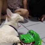 [댓글부탁해] <b>날라리</b>년이 사촌오빠들 소개시켜달래ㅋㅋㅋ