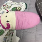 [댓글부탁해] 내 12년짜리 <b>애착</b>인형임